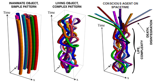 CONSCIOUSNESS PATTERN IMAGE